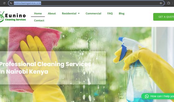 Cleaning Services Website in Kenya